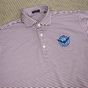 Turtleson Mens Large Polo Shirt Red Blue Striped Best Defense Foundation Golf